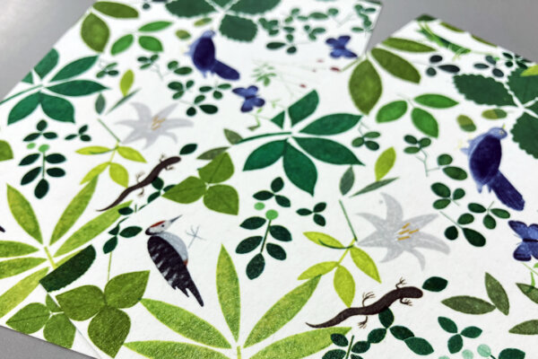 株式会社グリーンズ様   FSC認証紙を使用したポストカード